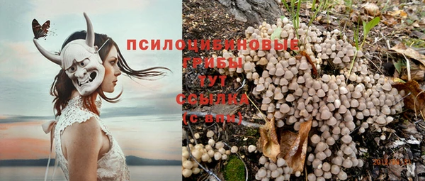 сатива Абдулино