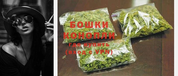 ECSTASY Липки