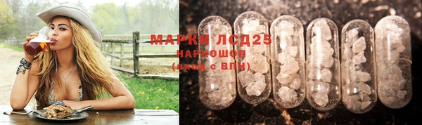 PSILOCYBIN Ельня