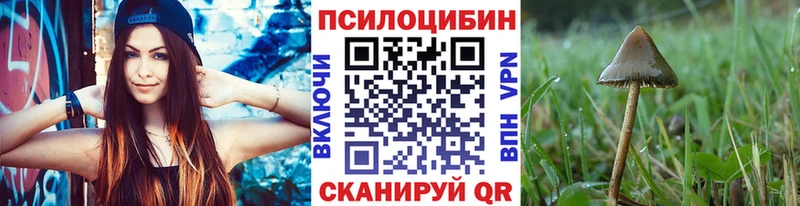 Галлюциногенные грибы Psilocybine cubensis  закладка  ОМГ ОМГ вход  Нефтеюганск 