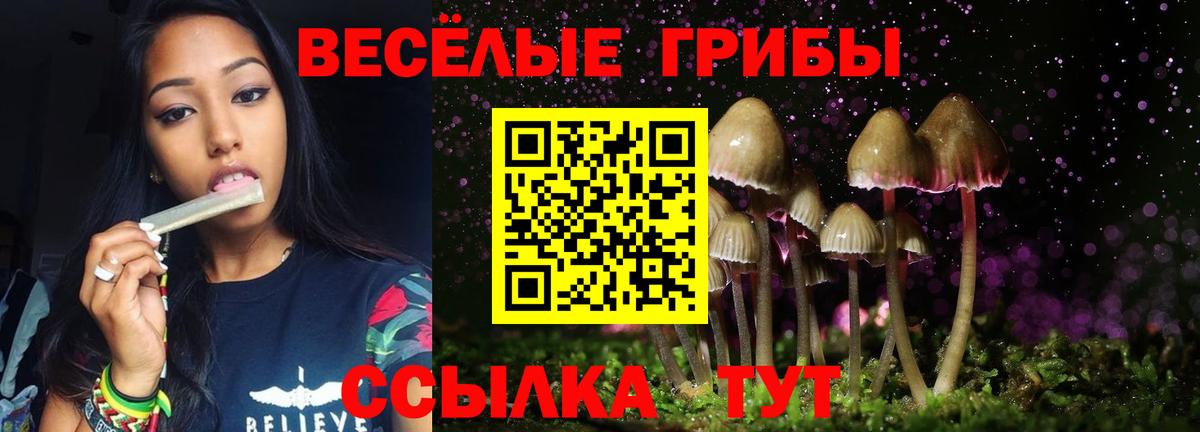 Псилоцибиновые грибы прущие грибы Нефтеюганск
